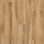 Armoury Oak K419