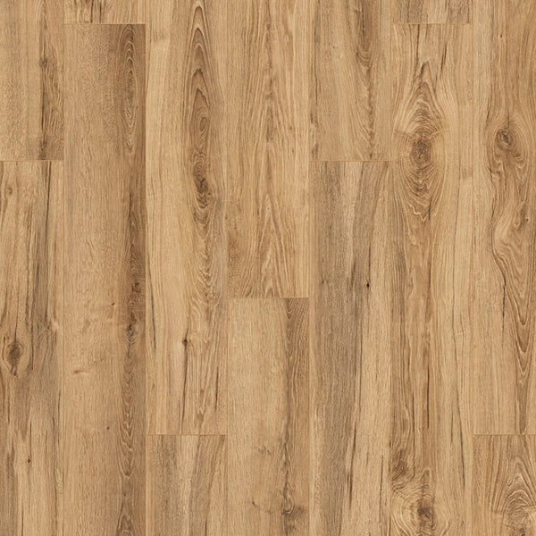 Armoury Oak K419