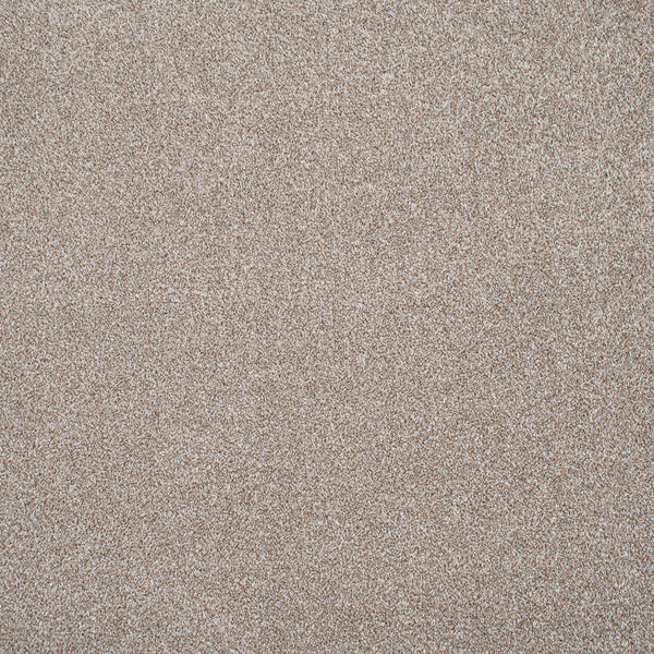 Biscuit Beige N830