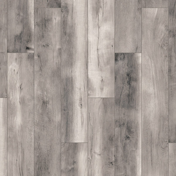 Blackwater Oak K413