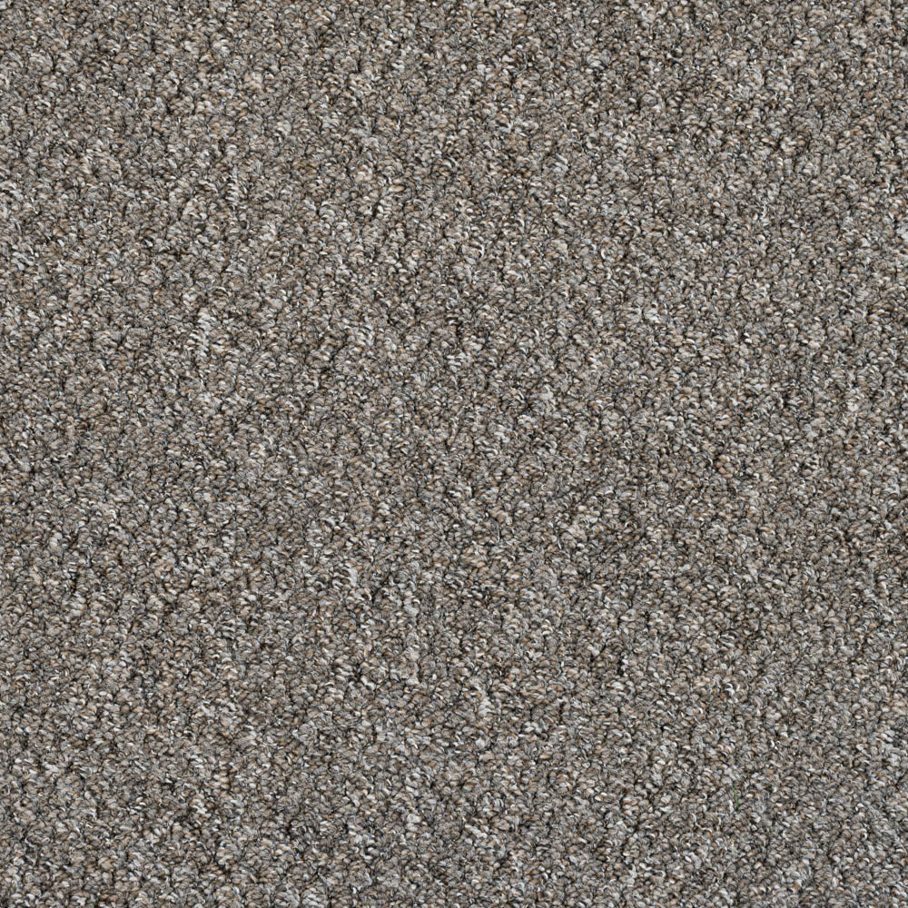 Home Comforts Loop Feltback Carpet | Loop Carpets Online | Wilsons Carpets