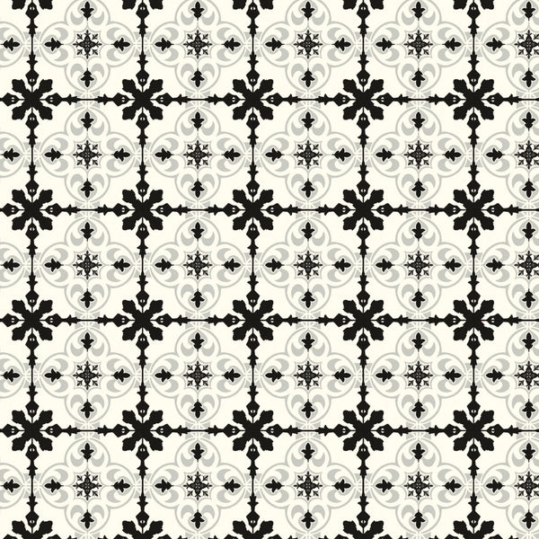 Castillo Carbon