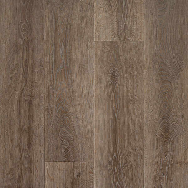 Cherbourg Oak 543