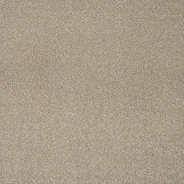 Cool Beige 12
