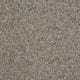 Windsor Berber