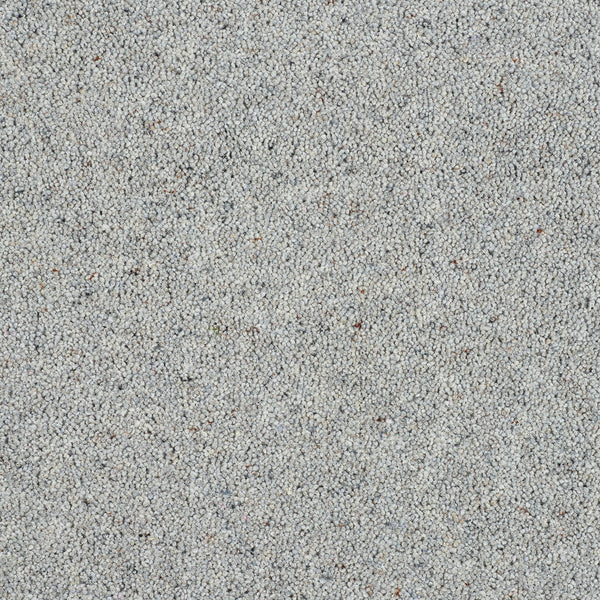 Dolphin Grey