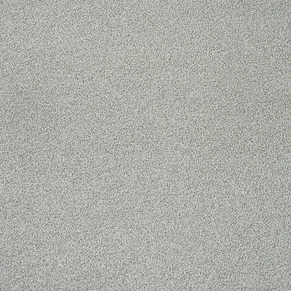 Dusty Fossil