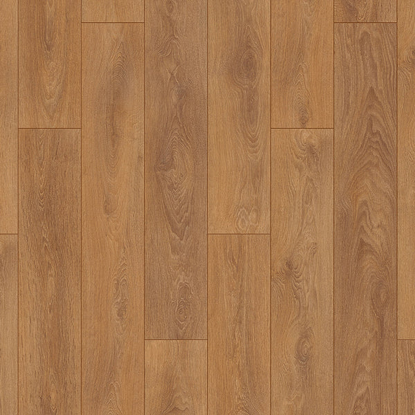 Harlech Oak 8573