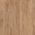 Historic Oak 5947