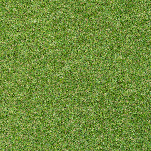 Juniper 17mm Artificial Grass