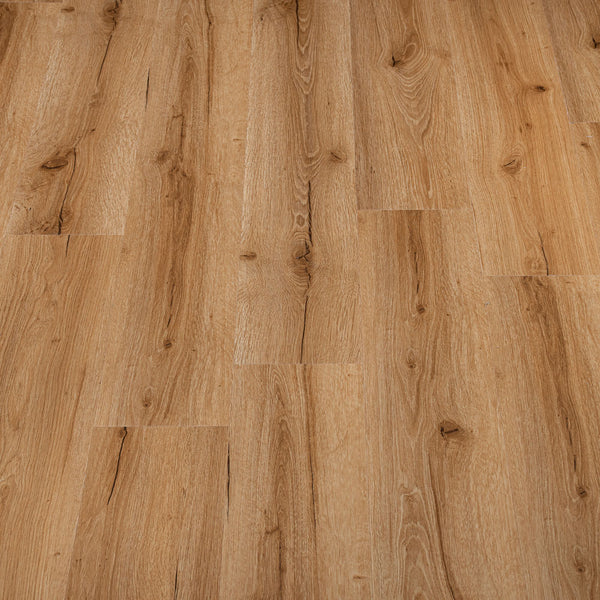 Legacy Oak