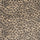 Leopard 01