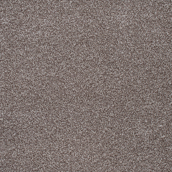 Mocha 84814