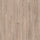 Mushroom Carpenter Oak K478