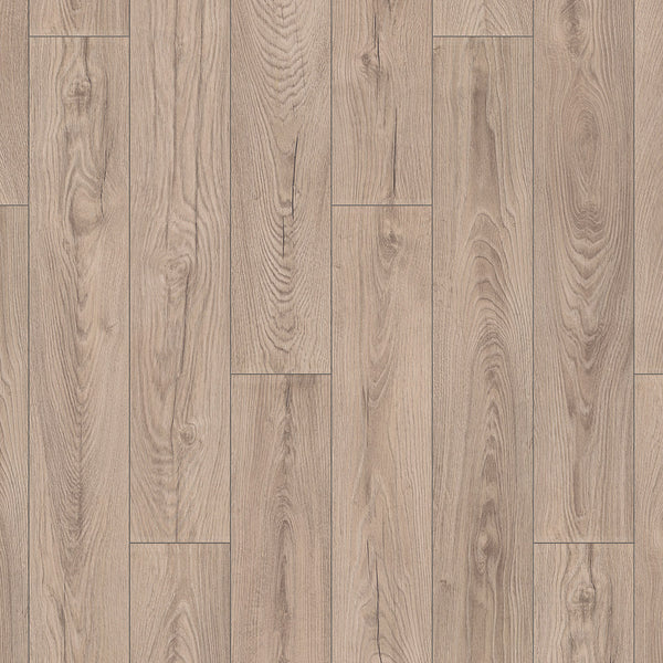Mushroom Carpenter Oak K478
