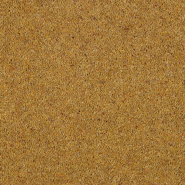 Mustard