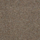 Windsor Berber