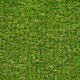 Quadrant 38mm PU Backed Artificial Grass