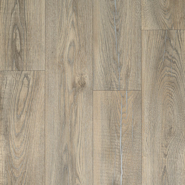 Ramsey 690L