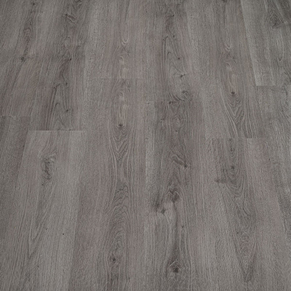 Shadow Oak