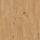 Sherwood Oak 5985