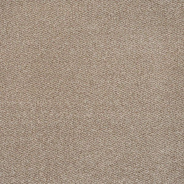 Taupe 13