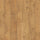 Tawny Chestnut 5537