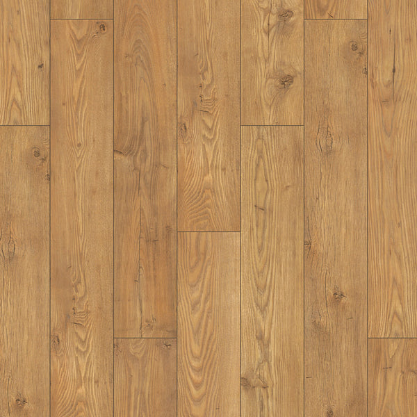 Tawny Chestnut 5537