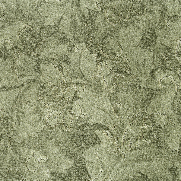 Tree Moss 26