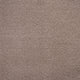 Walnut 81317