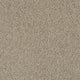 Wheat Straw 39
