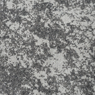Wilton Carpets – tagged 