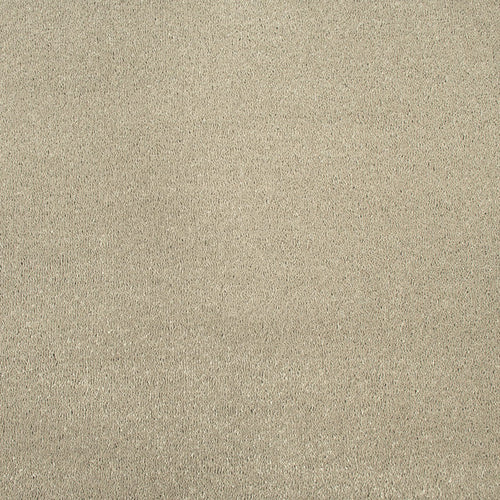 Sandy Beige 72 Amalfi Saxony Carpet far
